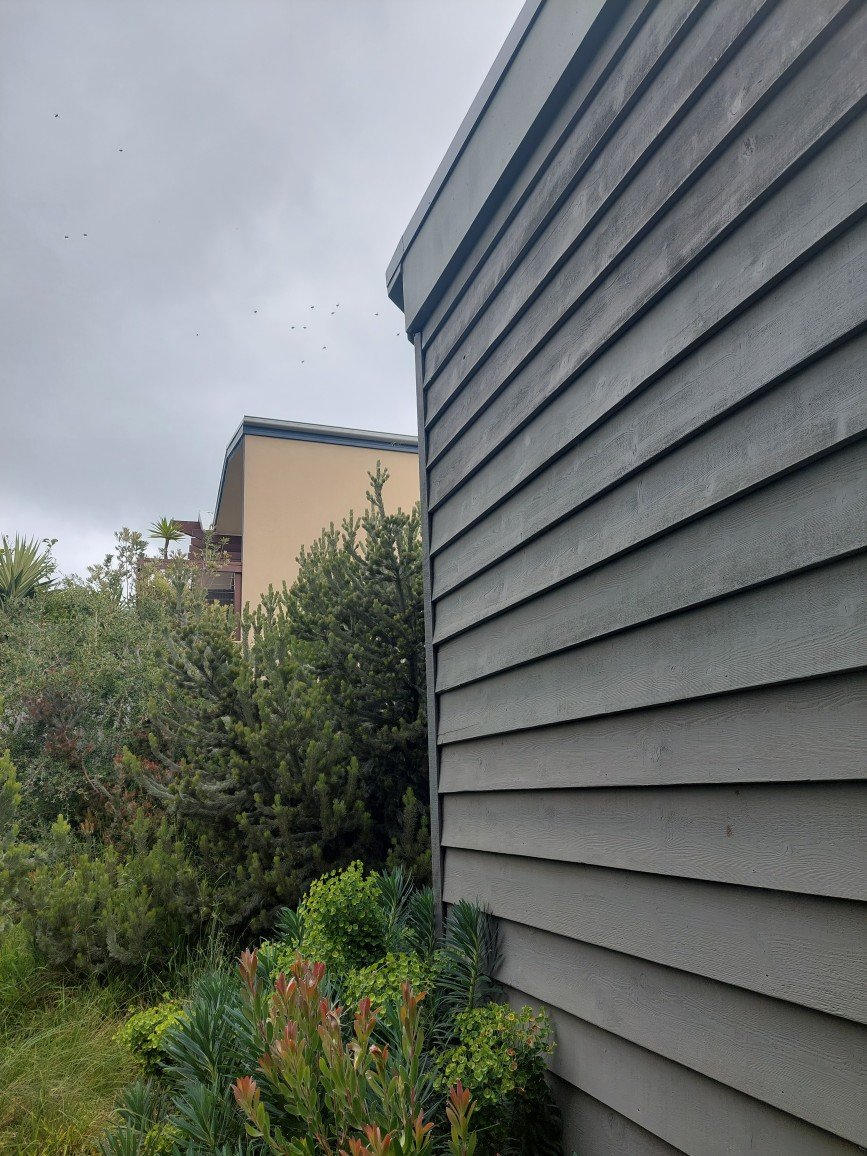 Swarm photo
