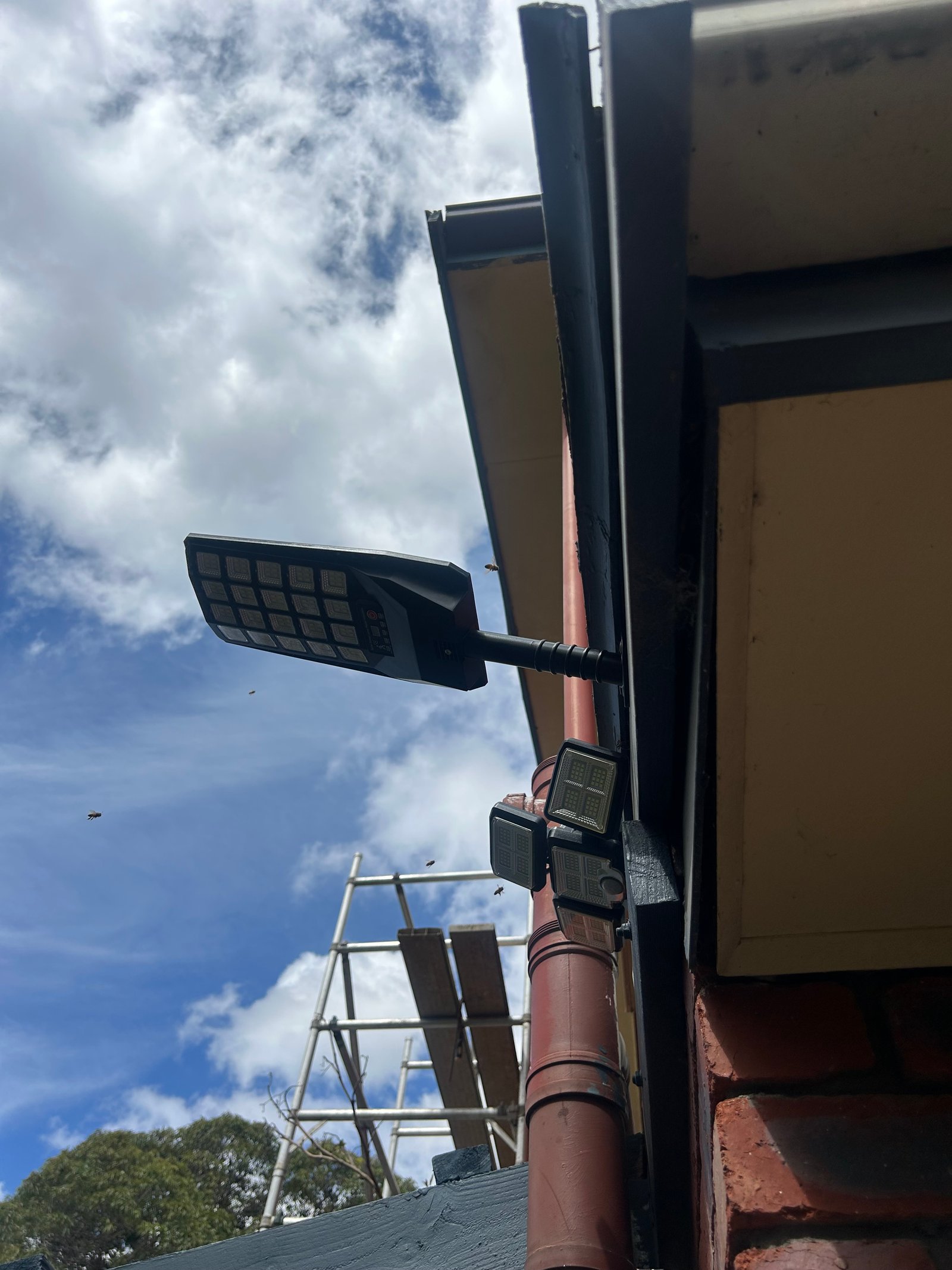 Swarm photo