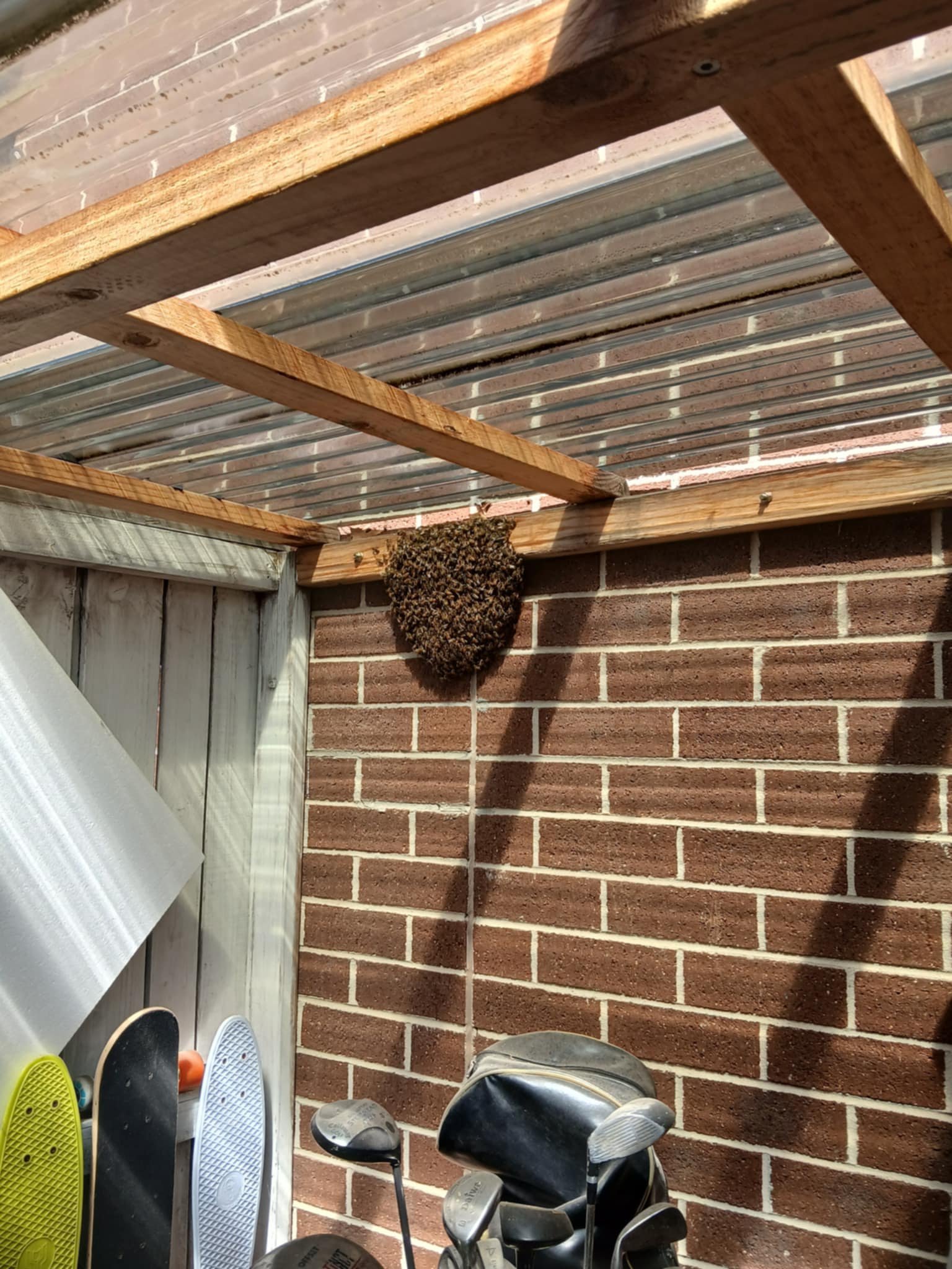 Swarm photo