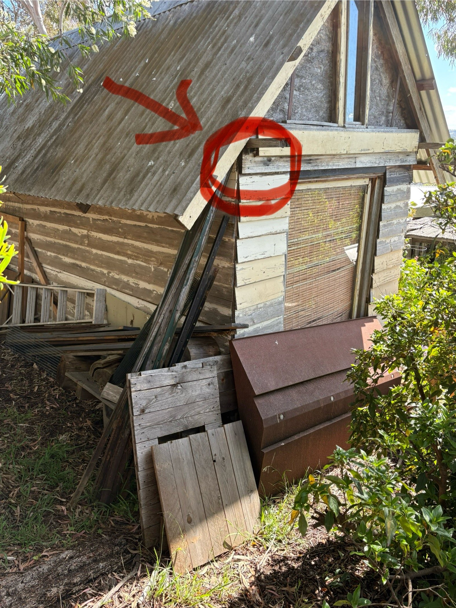 Swarm photo